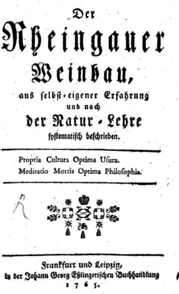 Der Rheingauer Weinanbau